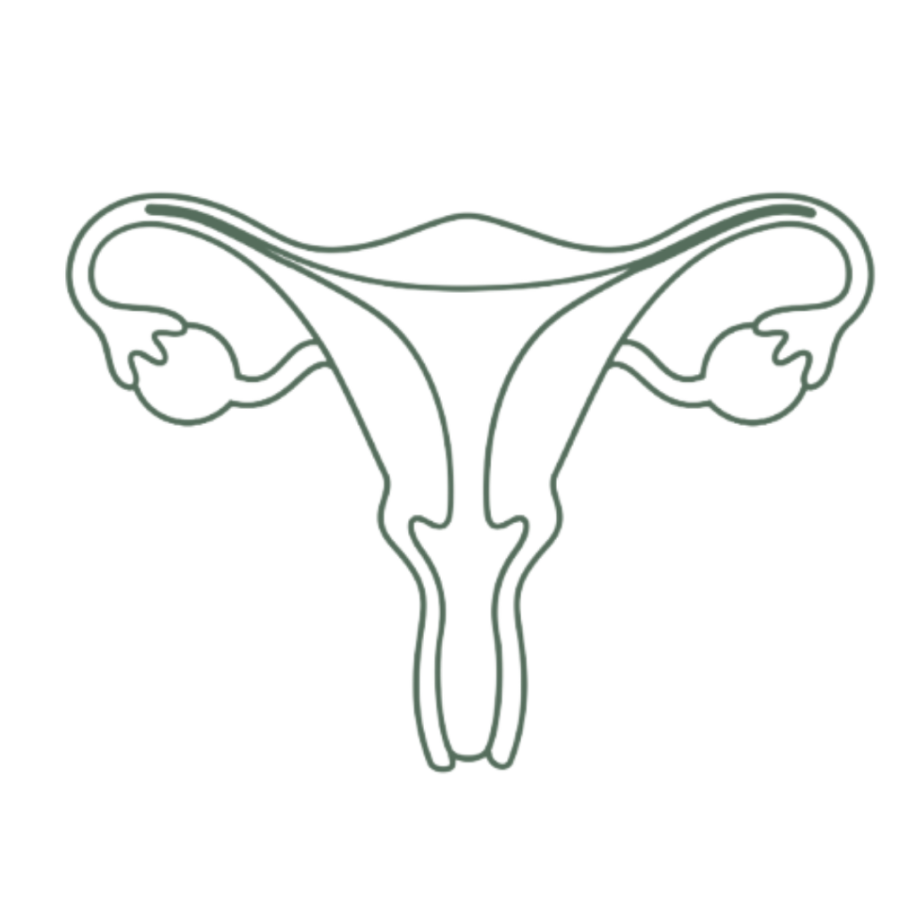 menopauze
